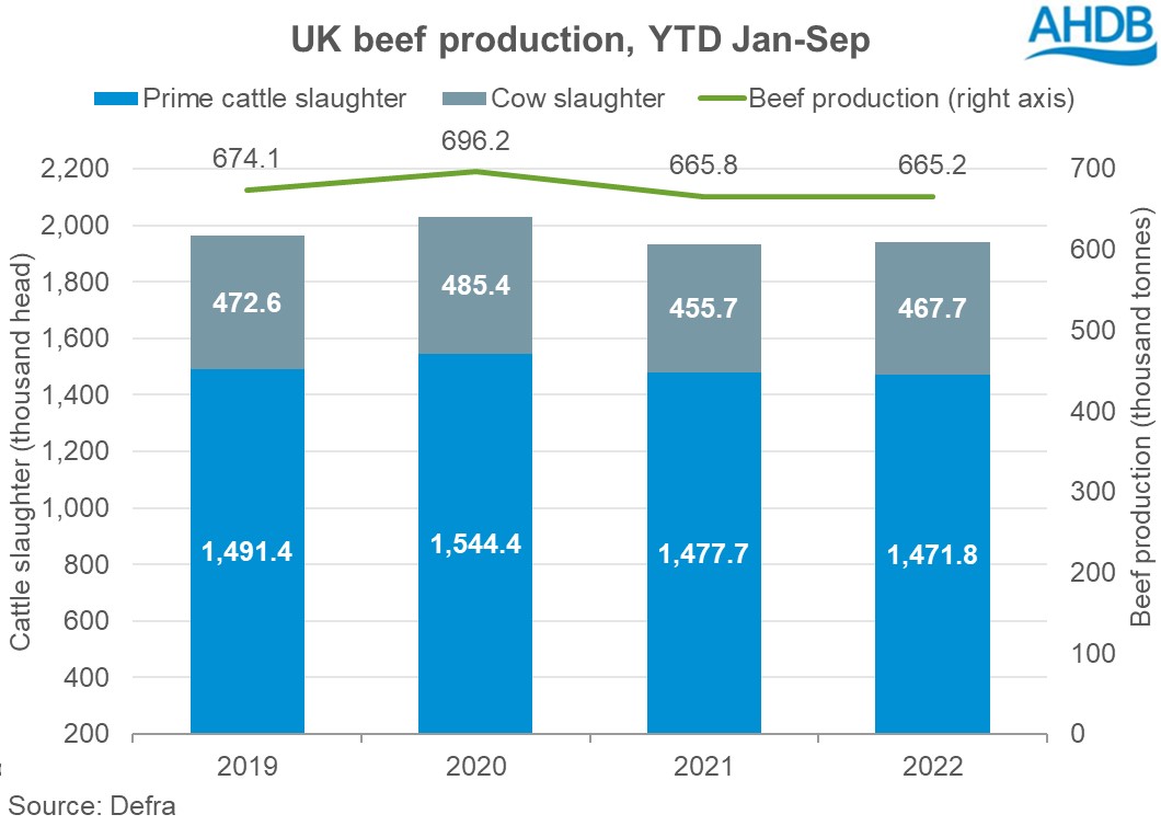 Graph of beef production and slaughter numbers year to date